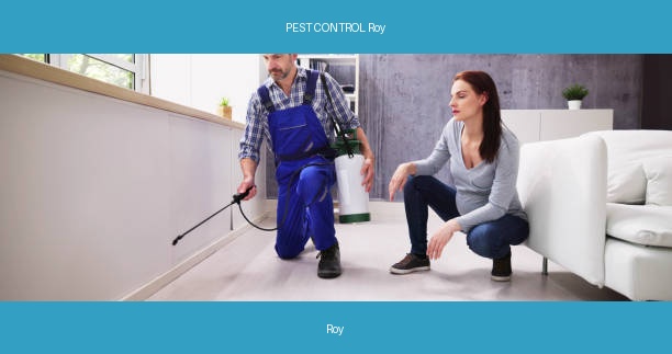 PEST CONTROL Roy